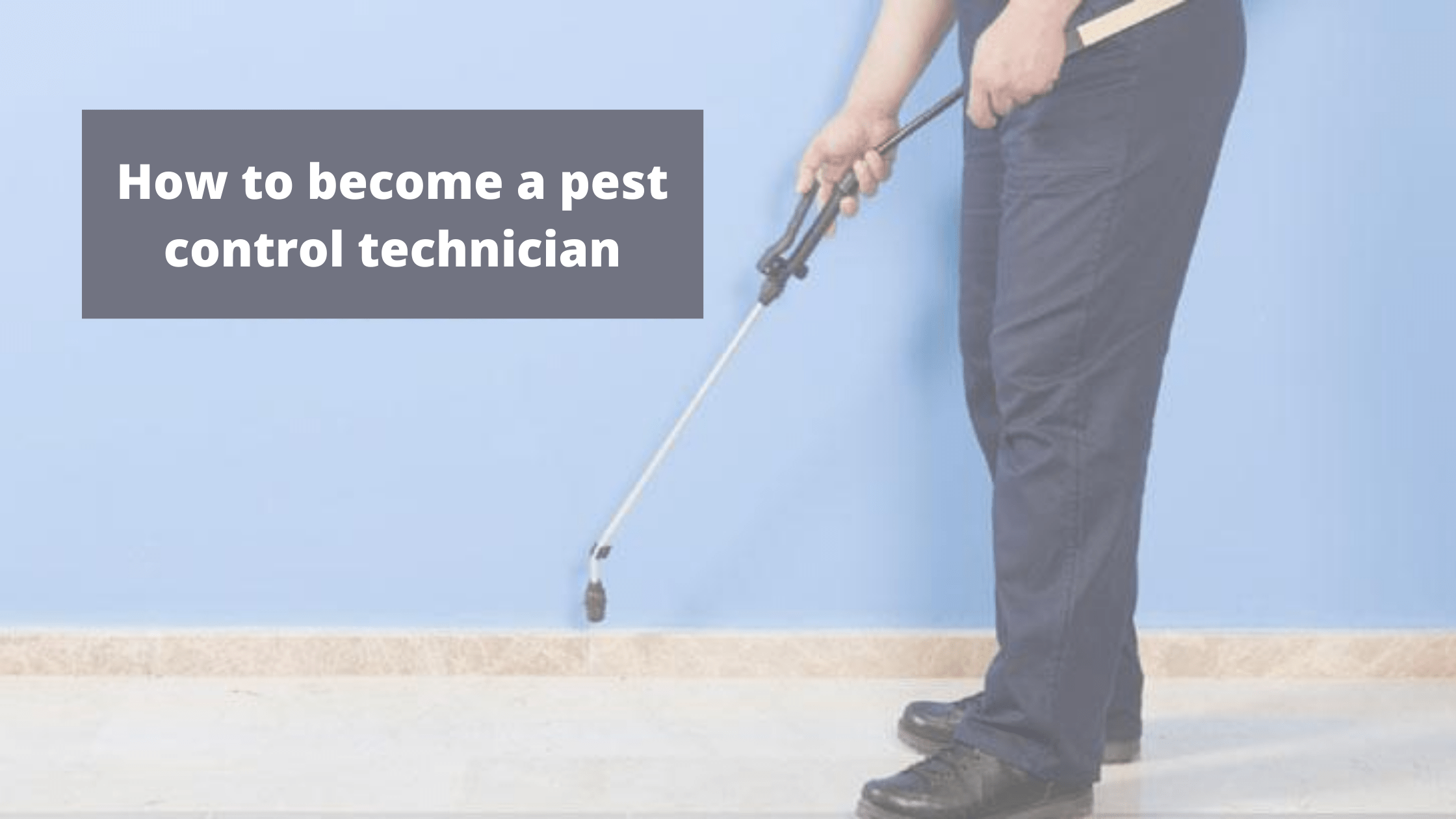 How to a pest control technician The Briostack Blog